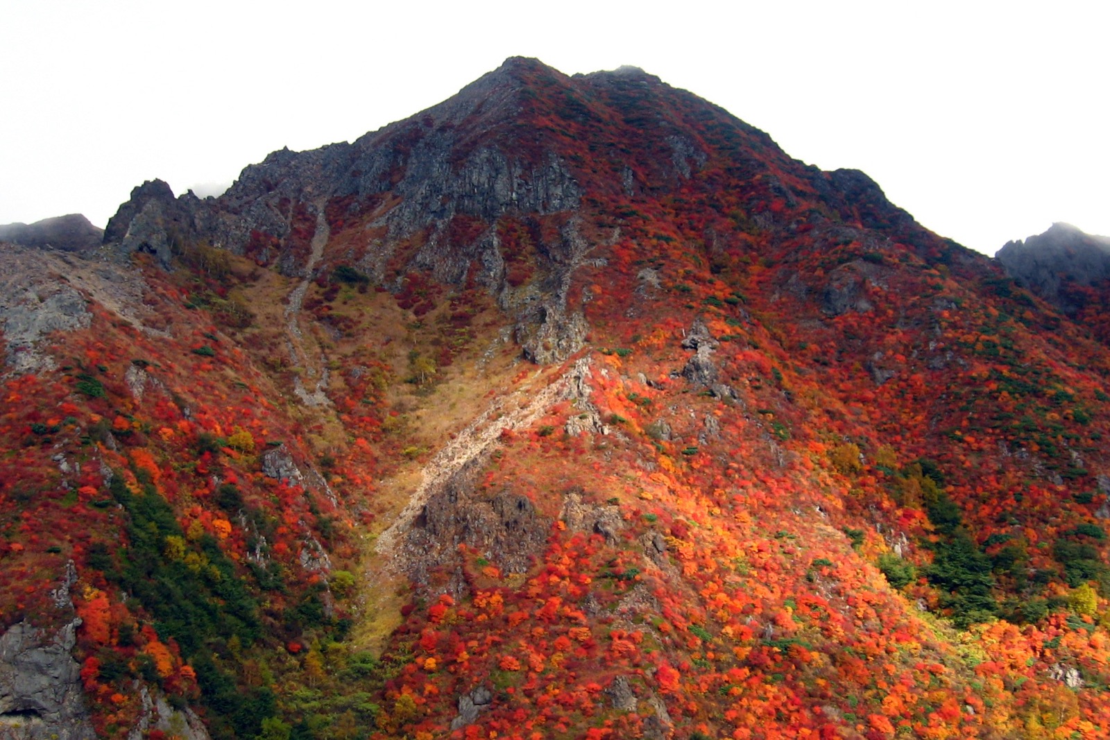 紅葉に染まる那須の山
