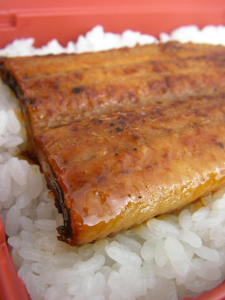ご飯の上のふっくらとした鰻の蒲焼き
